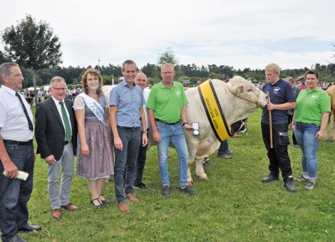 Mister Arolsen ist ein Wolfhager