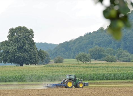 Rund 20 Prozent des Weizens stehen nach Getreidevorfrucht