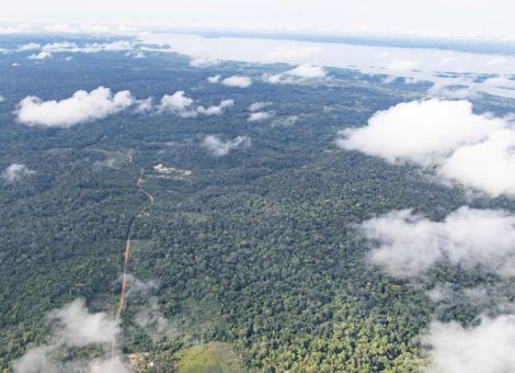 Was kann der Regenwald zum Klimaschutz beitragen?