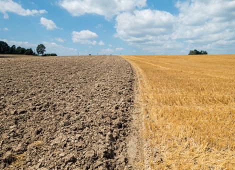 Kaufwerte für Agrarflächen im Westen kräftig gestiegen