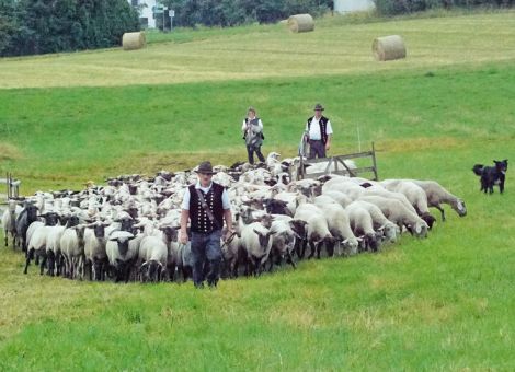 Kreisleistungshüten mit über 1 000 Zuschauern