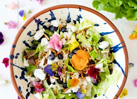Grüner Salat mit  Heidelbeeren und Ziegenkäse