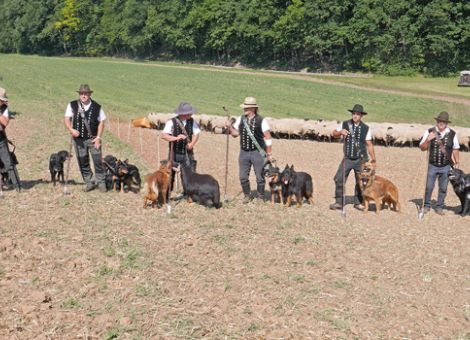 Wettkampf der besten hessischen Hüter