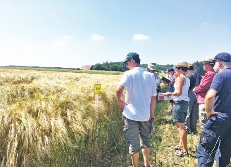 Erträge, die Freude machen