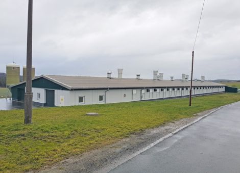 Prima Stallklima auch für Hennen mit Auslauf