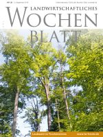 Ausgabe 36/2019 Ausgabe 36/2019