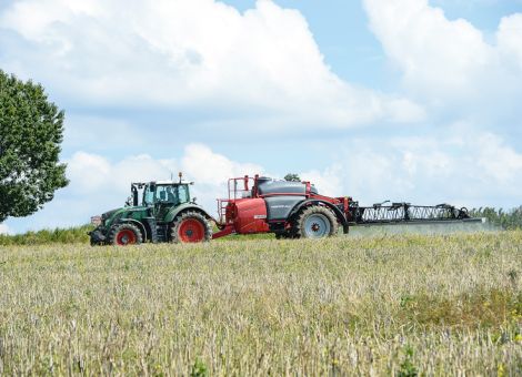 Weniger Pflanzenschutz für mehr Insekten