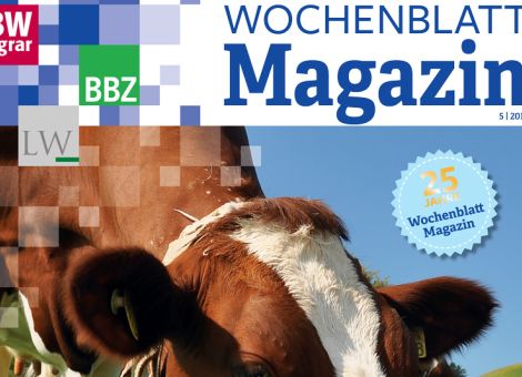 Viel hilft nicht immer viel