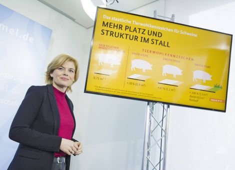 Bundesregierung will freiwilliges staatliches Tierwohllabel
