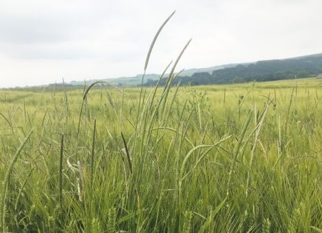 Erstmal den Druck rausnehmen