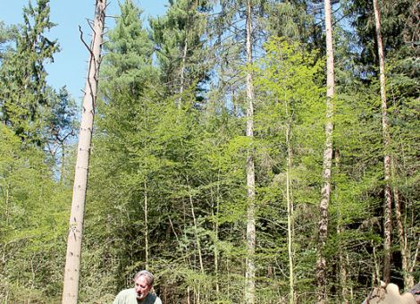 Wasser wird knapp – Wald leidet unter Dürre