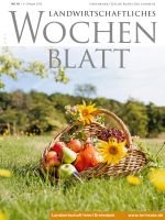 Ausgabe 40/2019 Ausgabe 40/2019