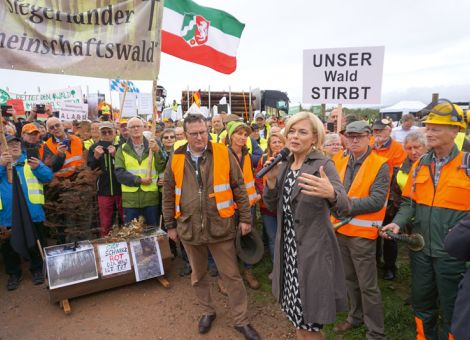 Deutsche Waldbesitzer fordern CO2-Bepreisung