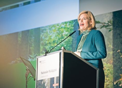 Wiederaufforstung und Waldumbau
