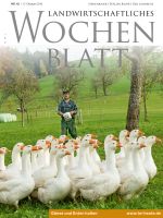 Ausgabe 42/2019 Ausgabe 42/2019