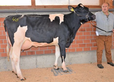Verhaltene Nachfrage aus der Region