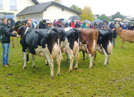 Guter Besuch trotz Regen auf dem Steinbacher Markt