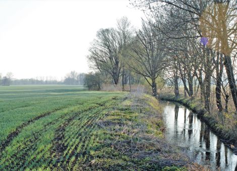Rheinland-Pfalz hat eine Landesdüngeverordnung