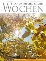 Ausgabe 47/2019 Ausgabe 47/2019