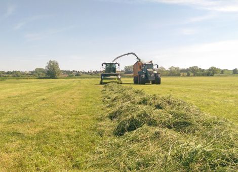 Nach der Ernte ist vor der Ernte