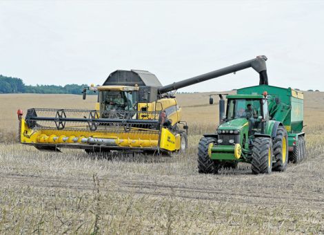 Selbstversorgungsgrad bei Futterprotein ist gering