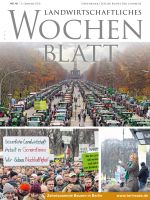 Ausgabe 49/2019 Ausgabe 49/2019