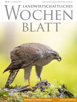 Ausgabe 50/2019 Ausgabe 50/2019