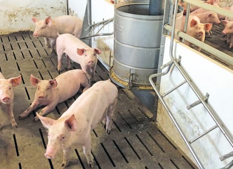 Stroh automatisiert in den Stall bringen