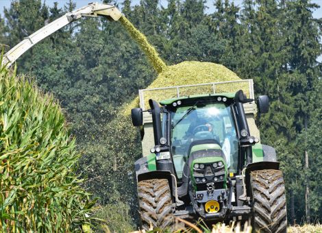 Maisanbauer erwarten starke Herausforderungen