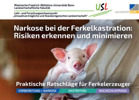 Broschüre gibt Ratschläge für die Kastration unter Narkose