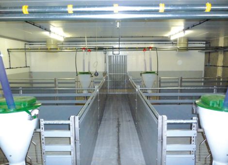 Stall für Mastschweine in Fürth-Erlenbach gebaut