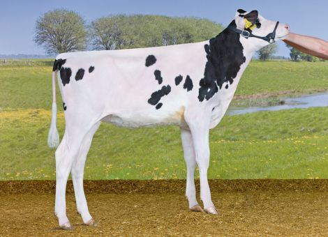 Highlight Sale 2020 in Hamm erfolgreich