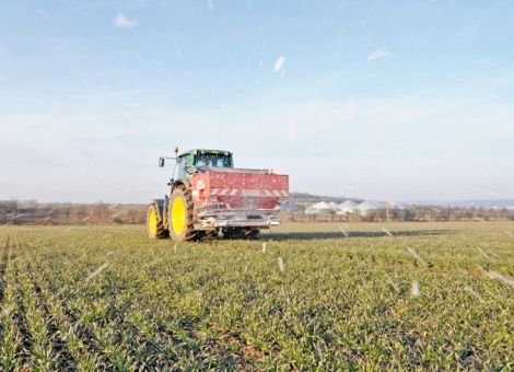 Wie steht es künftig um den Anbau von Qualitätsgetreide