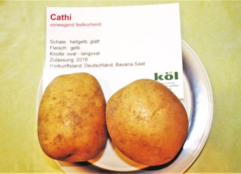 Testessen zum Öko-Kartoffelsortenversuch 2019 