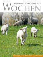 Ausgabe 6/2020 Ausgabe 6/2020