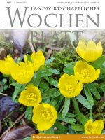 Ausgabe 7/2020 Ausgabe 7/2020