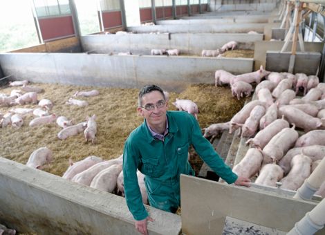 Borchert-Kommission legt Konzept zur Tierhaltung vor
