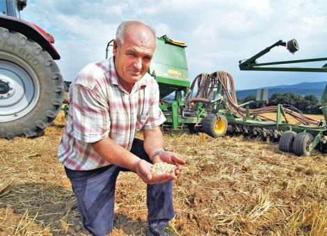 Erbsen und Hafer können gut miteinander