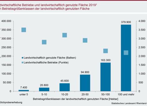 Zahl der Betriebe hat sich alle 20 Jahre halbiert