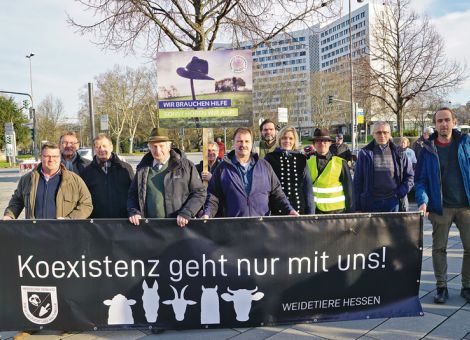 Weidetierprämie Entlohnung für Gesellschaftsleistungen