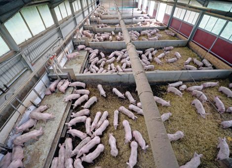 Breite Zustimmung für Borchert-Kommission 