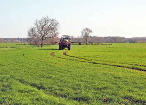 Neue Fungizide und Insektizide 2020