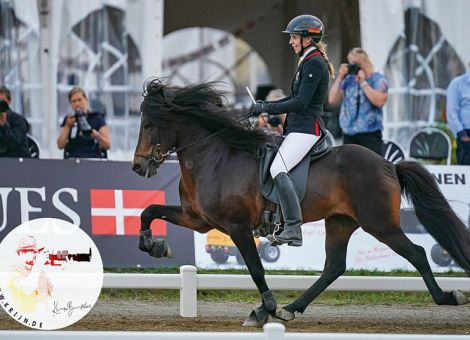 Zuchtbericht 2019 der Pony- und Pferdezüchter 