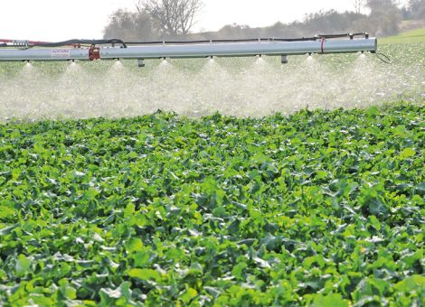 Herbizideinsatz für den Winterraps im Frühjahr 2020