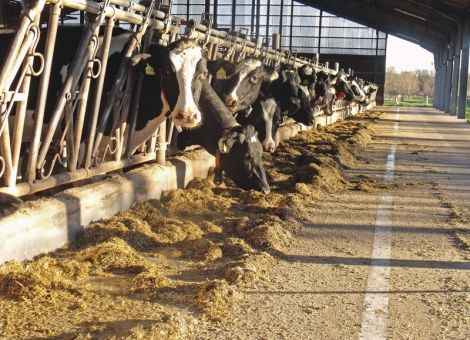 Vorbeugendes Monitoring als Management-Werkzeug nutzen