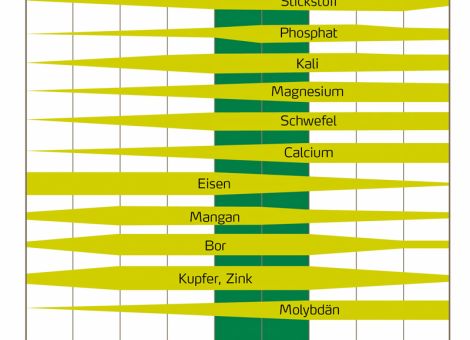 Blattdüngung: Mit Mikronährstoffen Pflanzen stärken