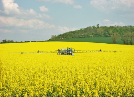 Lohnt sich eine Blütenbehandlung?