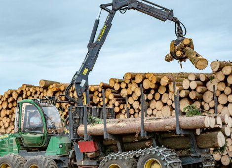 Der Abfluss des Holzes verlangsamt sich seit Wochen