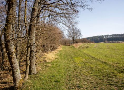 Zusätzliche Förderkulisse für die AGZ in Aussicht