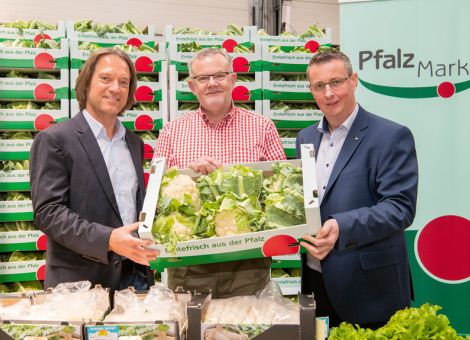 Erfolgreiche Bilanz für das Geschäftsjahr 2019